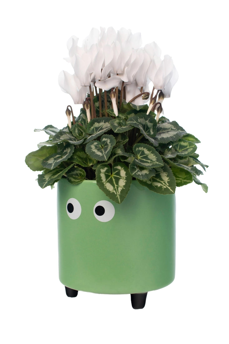 Eye Planter - Green