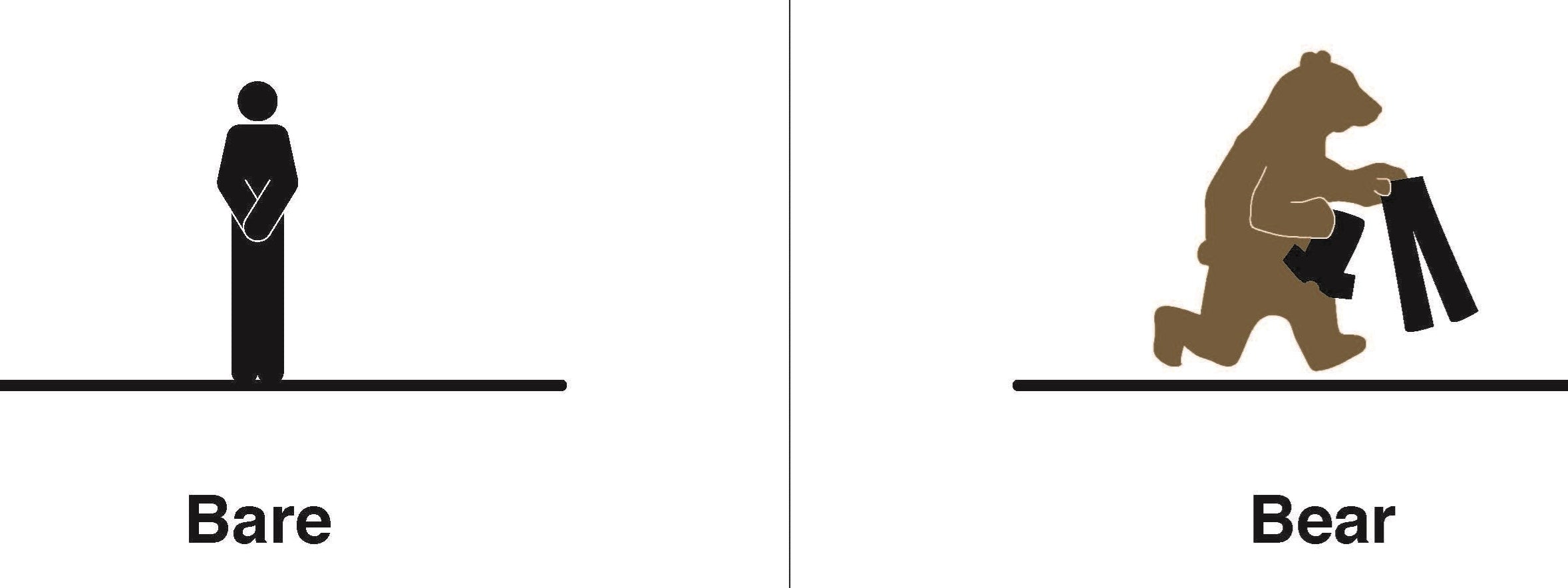 Homophones Visualized: (Book Lover Gift, Nerdy Word and Wordplay Book)