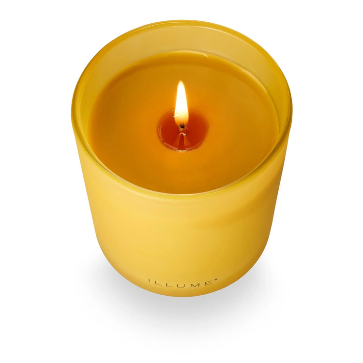 Rhubarb Honey Boxed Glass Candle