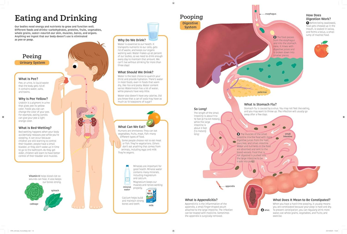 The Ultimate Book of the Human Body