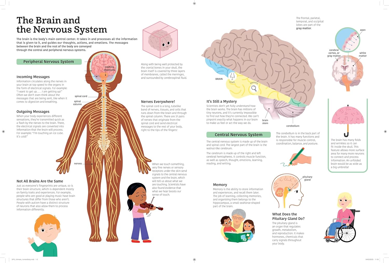 The Ultimate Book of the Human Body