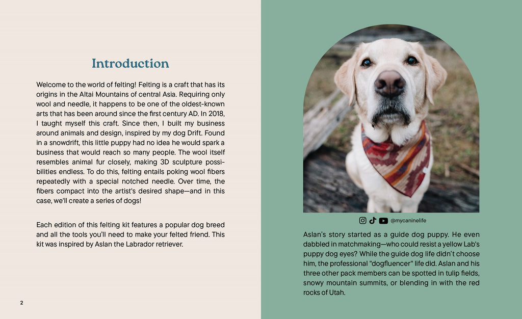 Little Felted Friends: Labrador Retriever: Dog Needle-Felting Beginner Kit
