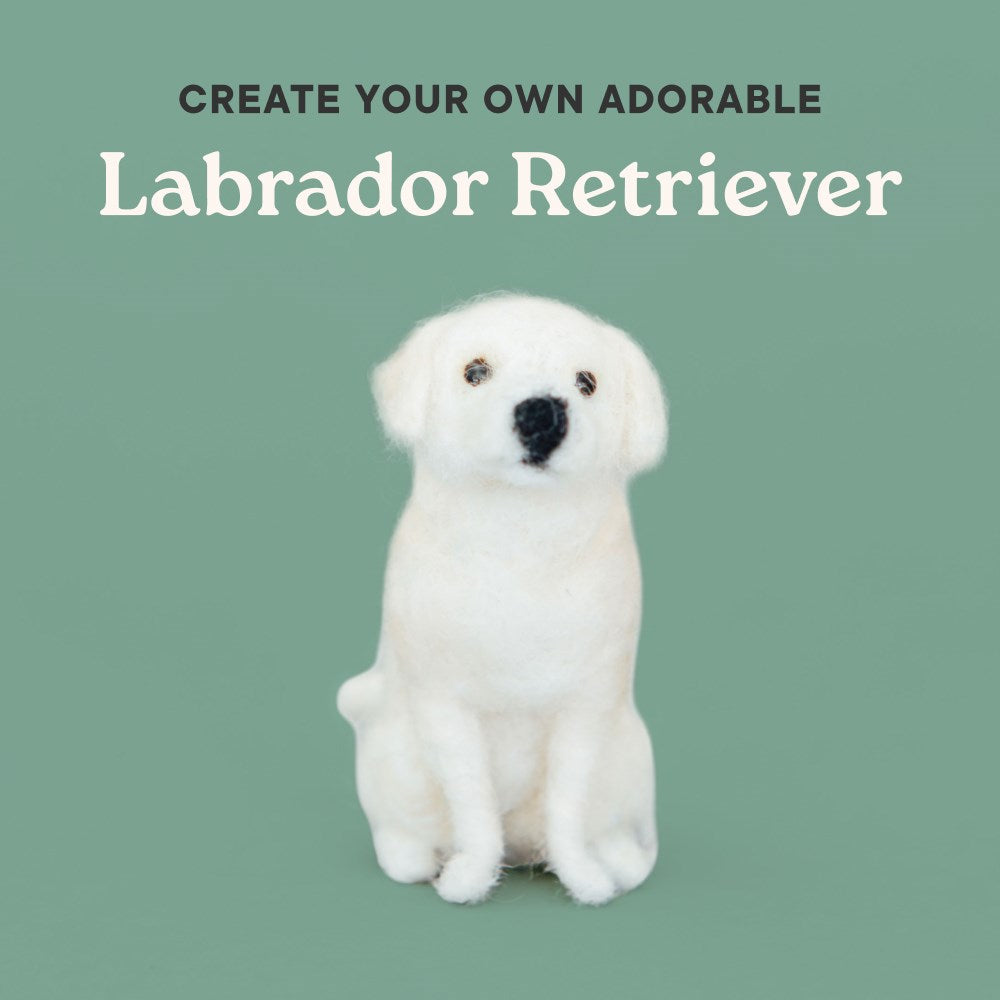 Little Felted Friends: Labrador Retriever: Dog Needle-Felting Beginner Kit
