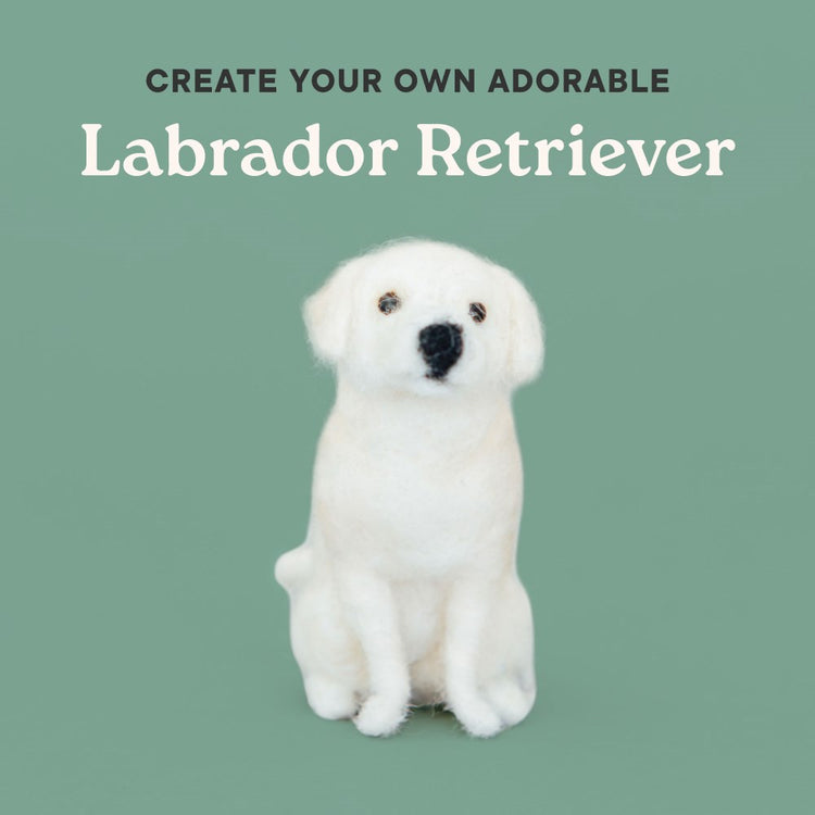 Little Felted Friends: Labrador Retriever: Dog Needle-Felting Beginner Kit