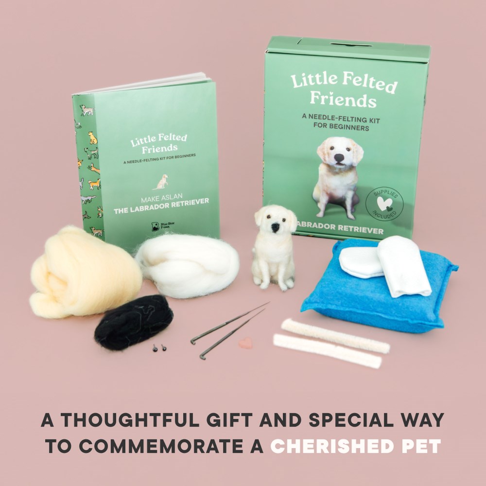 Little Felted Friends: Labrador Retriever: Dog Needle-Felting Beginner Kit