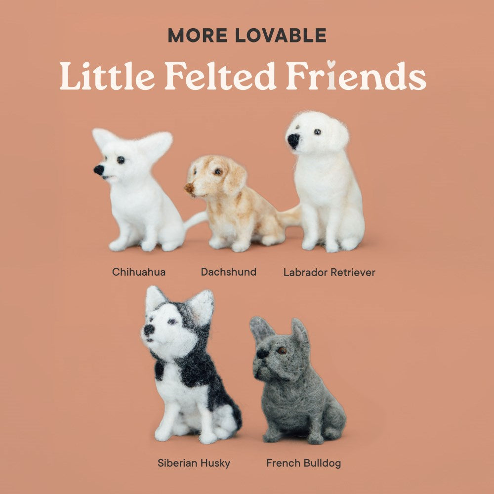 Little Felted Friends: Labrador Retriever: Dog Needle-Felting Beginner Kit