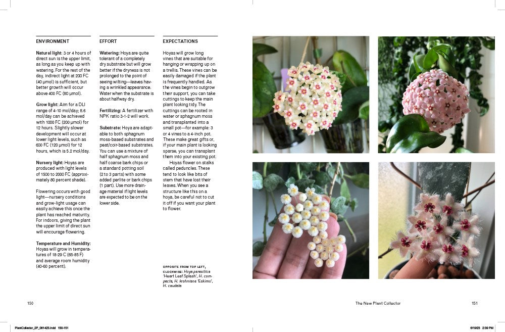 The New Plant Collector