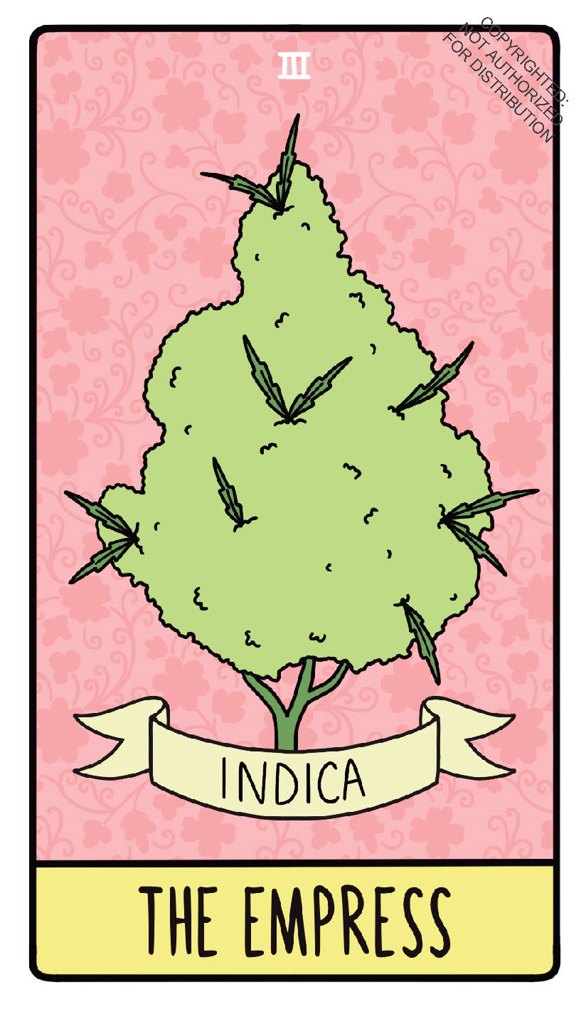Pot Tarot Deck and Guidebook