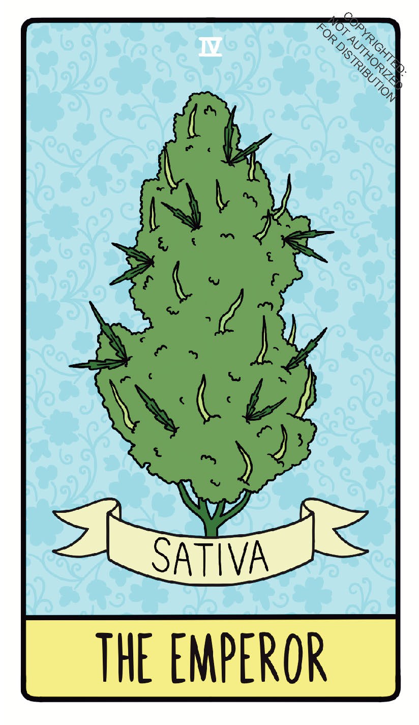 Pot Tarot Deck and Guidebook