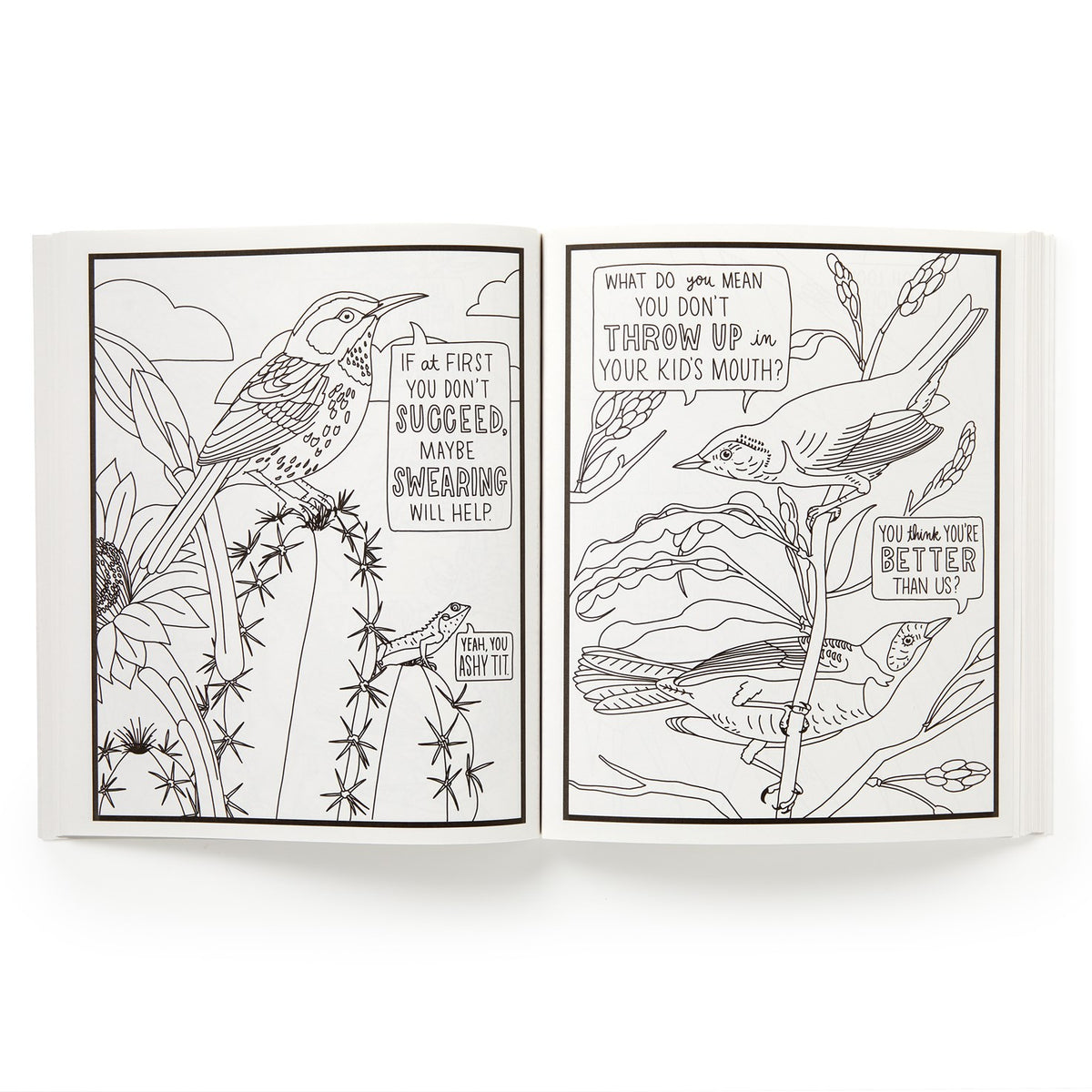 Salty Birds Coloring Book