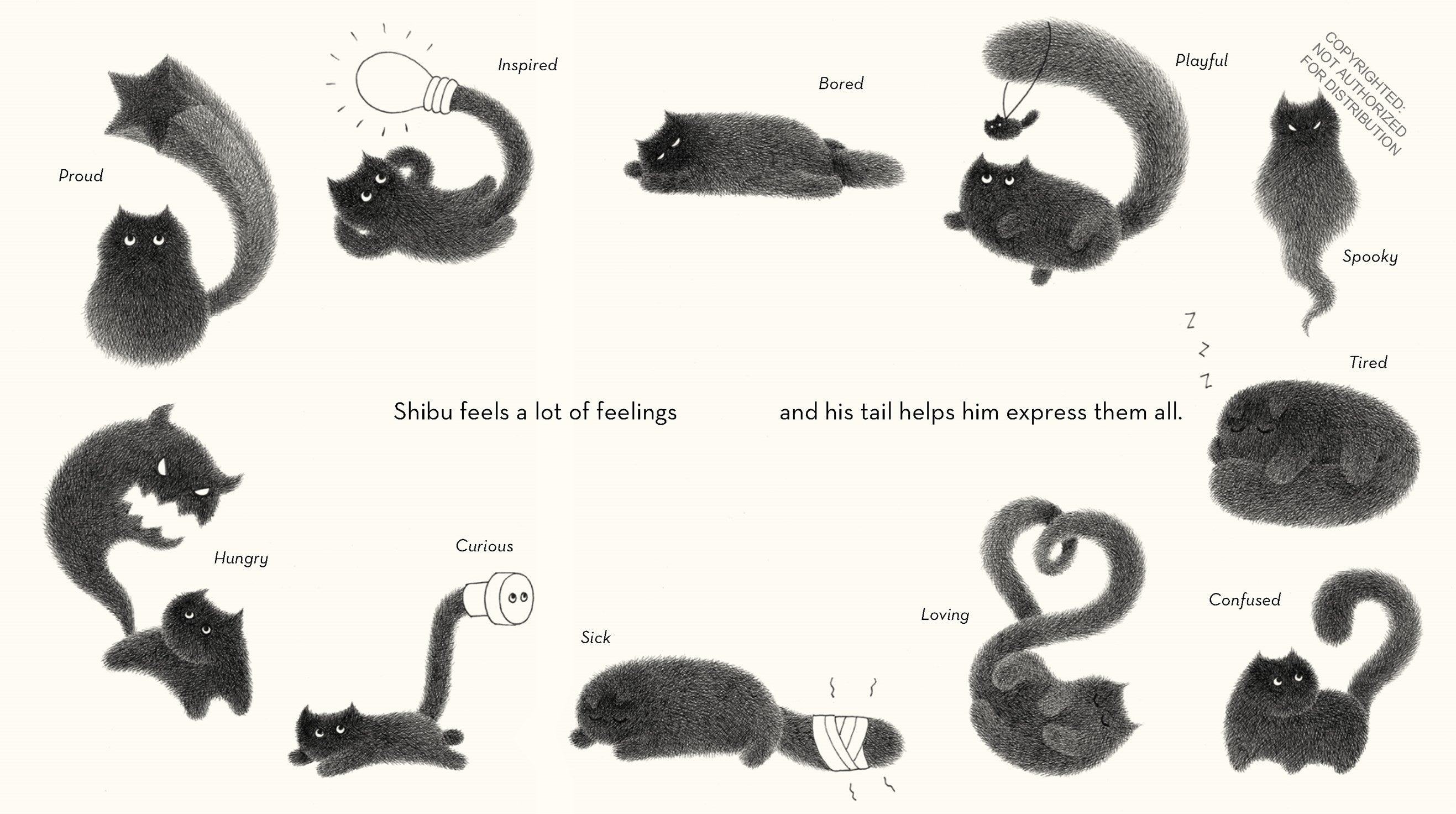 Shibu's Tail Book