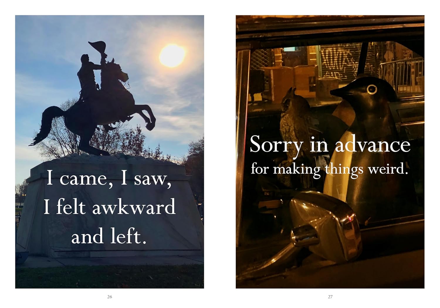 Sorry in advance for making things weird.: A Disappointing Affirmations Collection