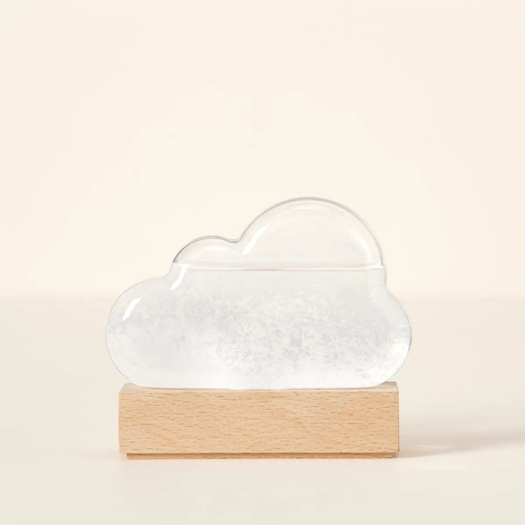 Storm Cloud: A Weather Predicting Instrument