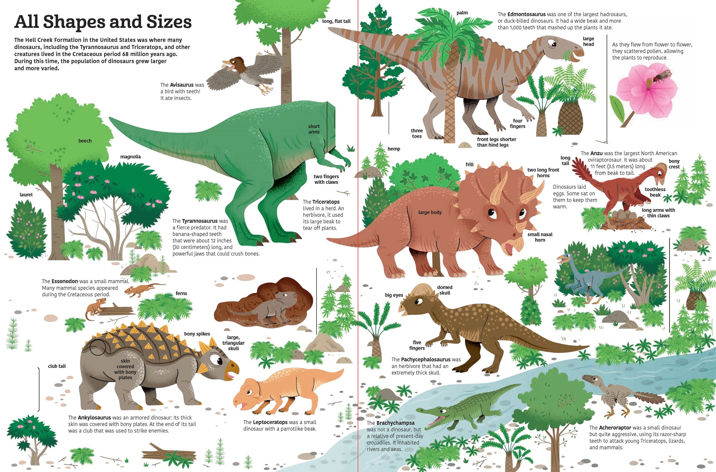 The Ultimate Book of Dinosaurs and Other Prehistoric Creatures