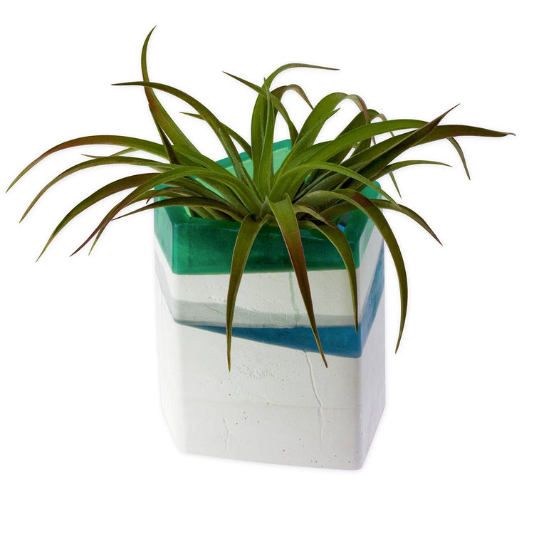 Gemstone Planter - Large