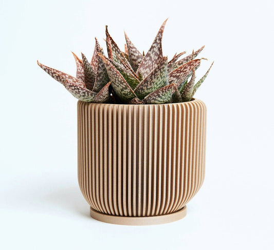 IONIC™ Beige Unique Flower Pot