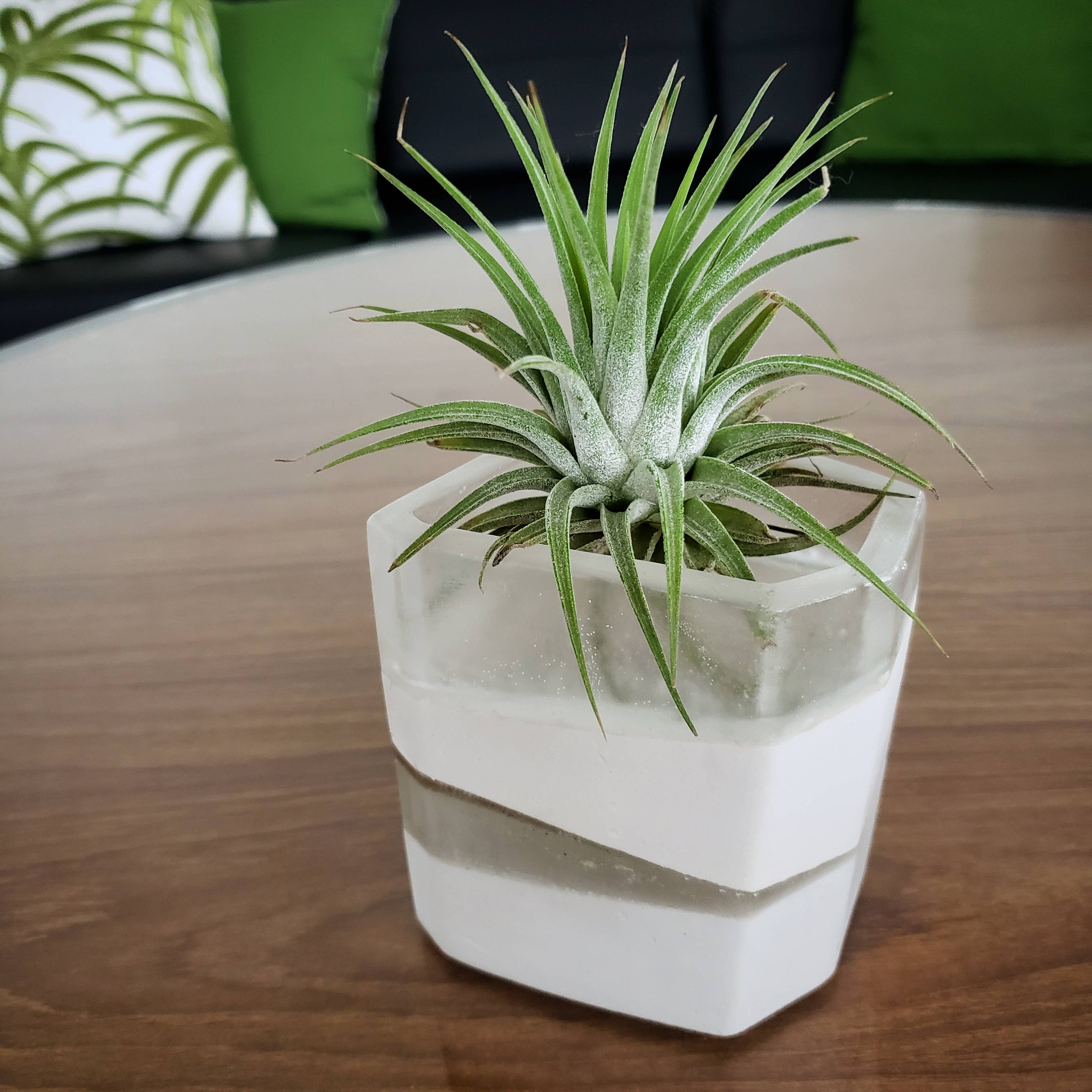 Gemstone Planter - Large