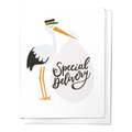 Special Delivery Card