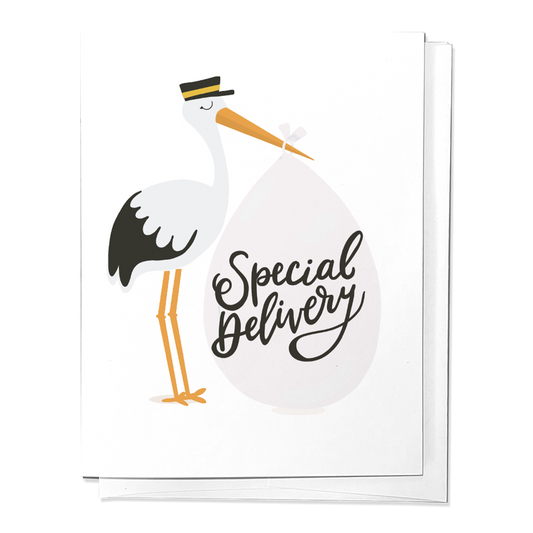 Special Delivery Stork Baby Newborn Congrats Greeting Card