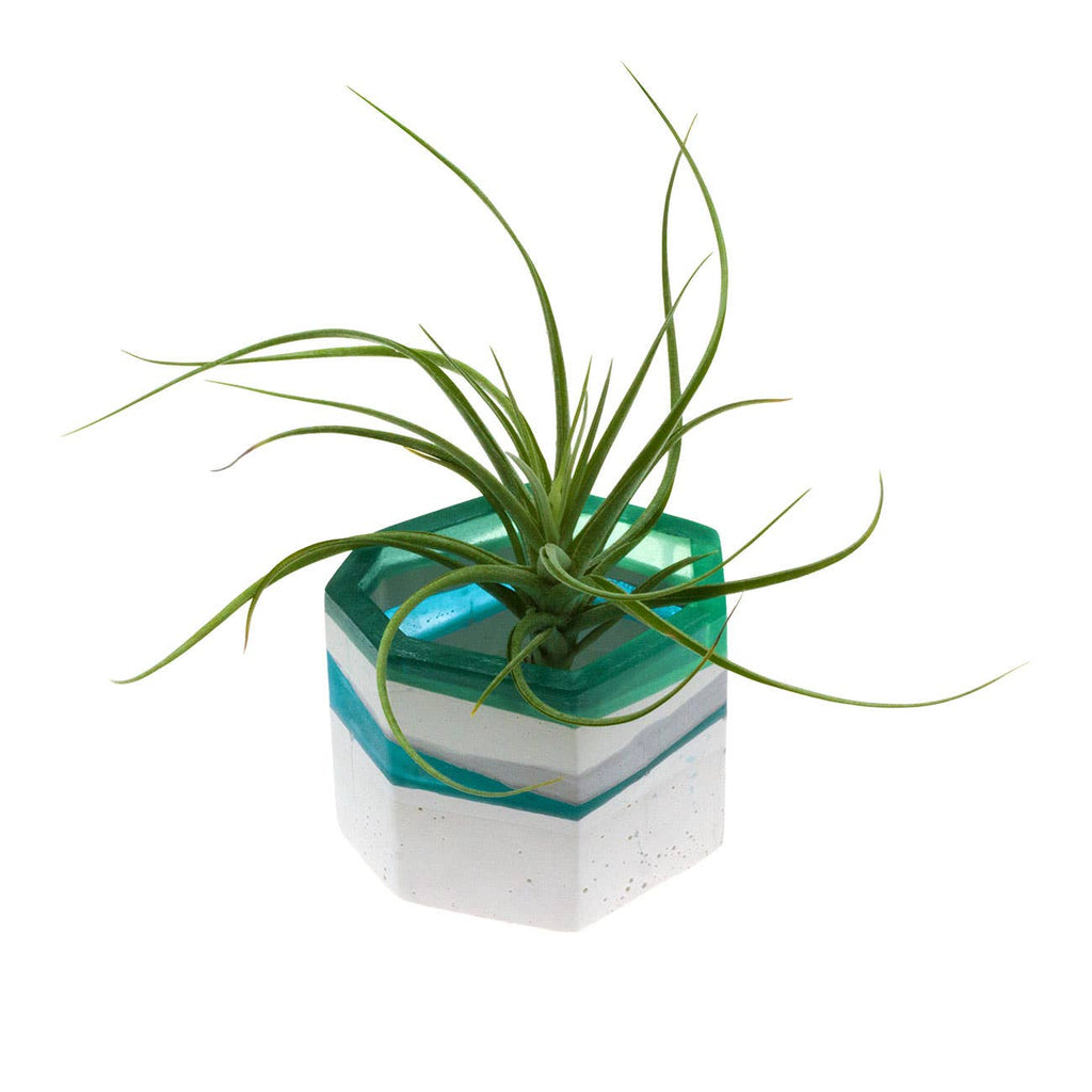 Gemstone Planter - Medium