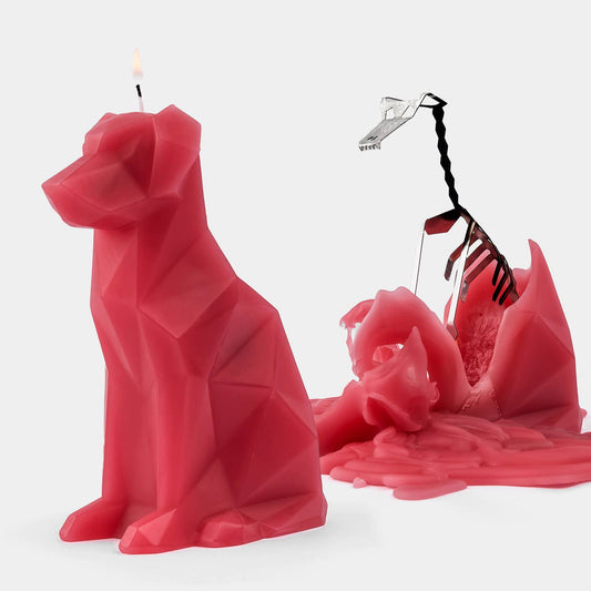 PyroPet Voffi Berry - Dog Candle