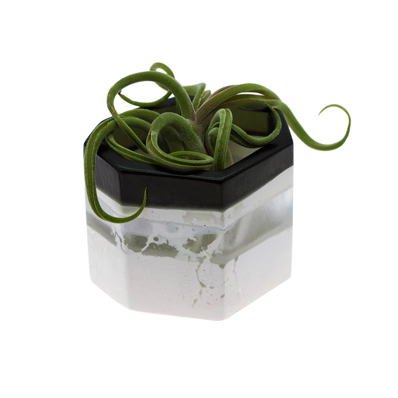 Gemstone Planter - Medium