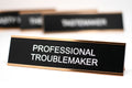 Professional Troublemaker Desk Name